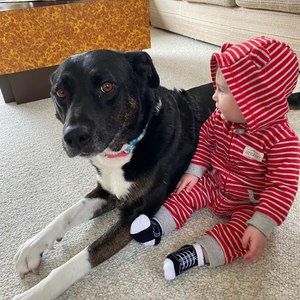 Meet your Posher, Lucy